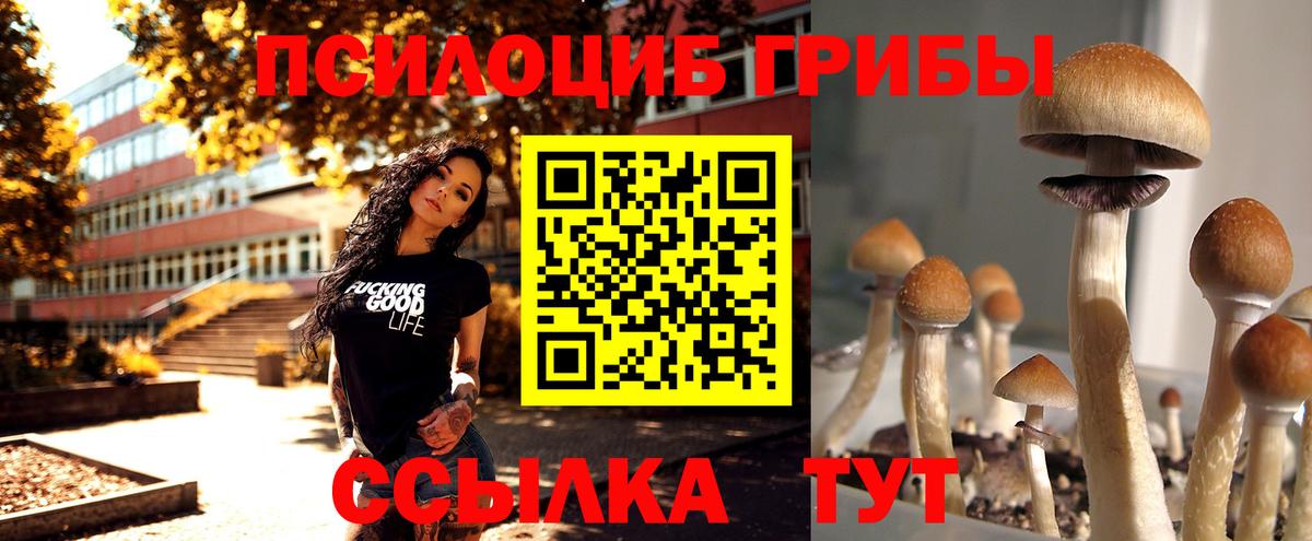 Галлюциногенные грибы GOLDEN TEACHER  Галлюциногенные грибы GOLDEN TEACHER  как найти   Нарткала  Вход с VPN 